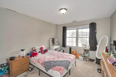 1013 Heron Avenue, Peotone, IL 60468 - Photo 17