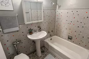 7337 S South Shore Dr, Chicago, IL 60649 - Photo 19