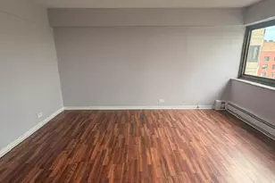 7337 S South Shore Dr, Chicago, IL 60649 - Photo 23