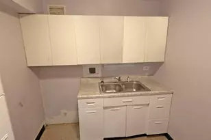 7337 S South Shore Dr, Chicago, IL 60649 - Photo 15