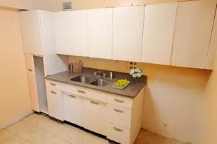 7337 S South Shore Dr, Chicago, IL 60649 - Photo 11