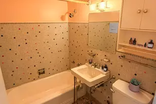 7337 S South Shore Dr, Chicago, IL 60649 - Photo 19