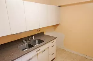 7337 S South Shore Dr, Chicago, IL 60649 - Photo 13