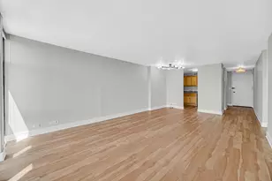 6700 S South Shore Dr, Chicago, IL 60649 - Photo 3