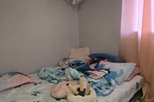 2728 W 87th St, Chicago, IL 60652 - Photo 3