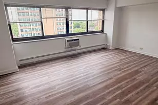 7337 S South Shore Dr, Chicago, IL 60649 - Photo 21