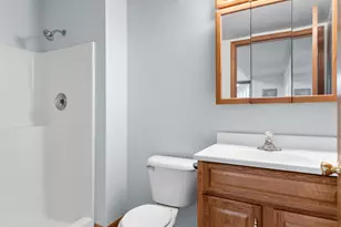 5214 Parkview Dr, McCullom Lake, IL 60050 - Photo 25