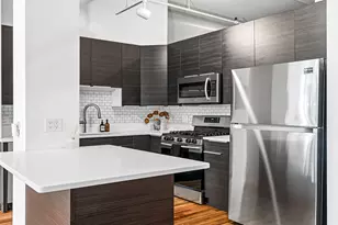 809 N Racine Ave, Chicago, IL 60642 - Photo 9