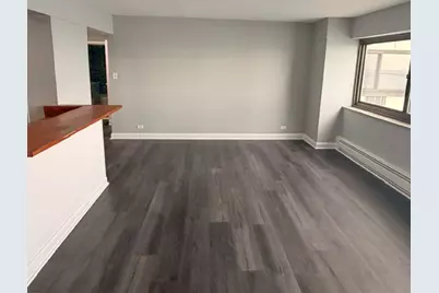 7337 S South Shore Drive #1109, Chicago, IL 60649 - Photo 25