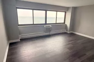 7337 S South Shore Dr, Chicago, IL 60649 - Photo 23