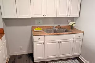 7337 S South Shore Dr, Chicago, IL 60649 - Photo 19