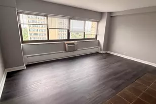 7337 S South Shore Dr, Chicago, IL 60649 - Photo 21