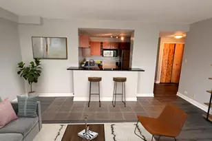 7337 S South Shore Dr, Chicago, IL 60649 - Photo 23