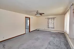219 219 1/2 W Main St, Braidwood, IL 60408 - Photo 13