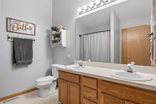 25724 S Red Stable Ln, Channahon, IL 60410 - Photo 11