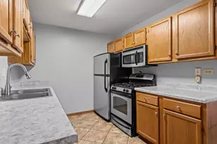 272 Park Ridge Ln, Aurora, IL 60504 - Photo 9