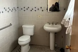 [Address not provided], Chicago, IL 60652 - Photo 13
