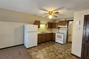9 1/2 N Randolph St, Princeton, IL 61356 - Photo 3