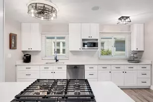 4721 Main St, Downers Grove, IL 60515 - Photo 13