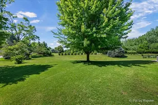 708 Harmony Ct, North Aurora, IL 60542 - Photo 41