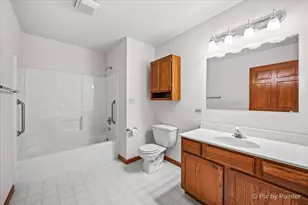 708 Harmony Ct, North Aurora, IL 60542 - Photo 23