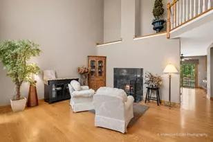 10911 Settlers Pond Ct, Frankfort, IL 60423 - Photo 5