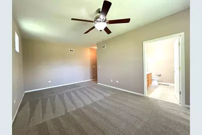 21214 Lily Lake Lane, Crest Hill, IL 60403 - Photo 13