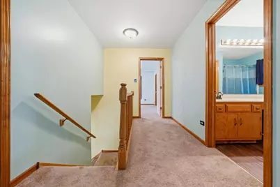 16020 S Howard Street, Plainfield, IL 60586 - Photo 17