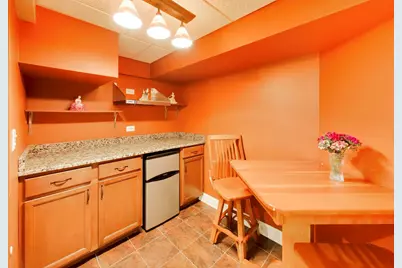 1117 Dawes Street, Libertyville, IL 60048 - Photo 33