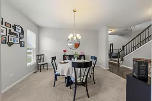 204 Julep Ave, Oswego, IL 60543 - Photo 7