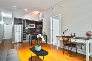 650 W Wayman St, Chicago, IL 60661 - Photo 7