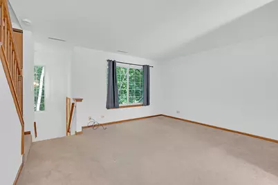 312 W Treehouse Lane, Round Lake, IL 60073 - Photo 11