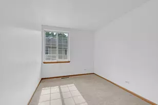 312 W Treehouse Ln, Round Lake, IL 60073 - Photo 21