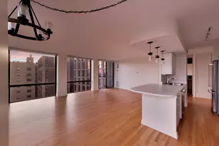345 W Fullerton Pkwy, Chicago, IL 60614 - Photo 13