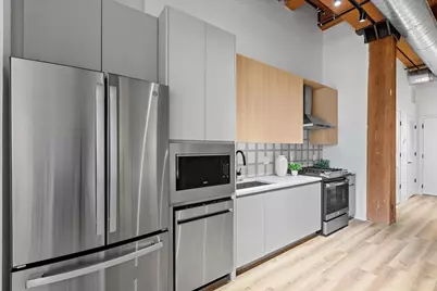 153 W Ohio Street #202, Chicago, IL 60654 - Photo 9