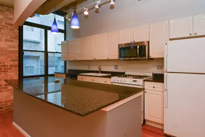 375 W Erie Street #321, Chicago, IL 60610 - Photo 7