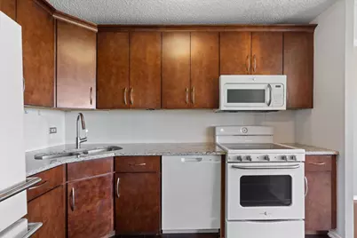 801 S Plymouth Court #716, Chicago, IL 60605 - Photo 9