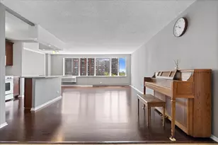 801 S Plymouth Ct, Chicago, IL 60605 - Photo 3