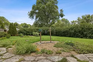 207 N Main St, Mount Prospect, IL 60056 - Photo 29