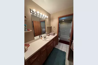 26233 W Leslie Drive, Channahon, IL 60410 - Photo 23