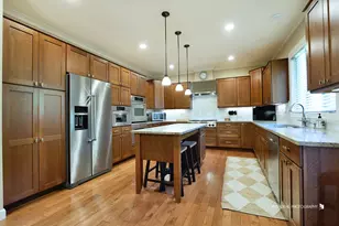 21469 W Nielson Dr, Lake Villa, IL 60046 - Photo 11