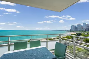 1300 N Lake Shore Dr, Chicago, IL 60610 - Photo 13