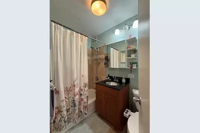 1355 N Sandburg Terrace #1801D, Chicago, IL 60610 - Photo 13