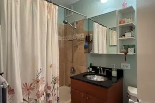 1355 N Sandburg Terrace, Chicago, IL 60610 - Photo 13