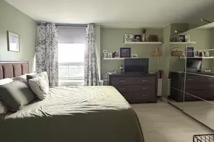 1355 N Sandburg Terrace, Chicago, IL 60610 - Photo 9
