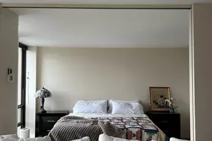 1660 N Lasalle St, Chicago, IL 60614 - Photo 9