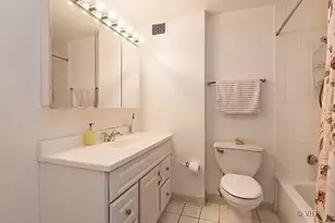 233 E Erie St, Chicago, IL 60611 - Photo 5