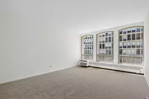 1451 E 55th St, Chicago, IL 60615 - Photo 11