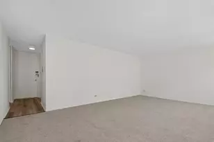 1451 E 55th St, Chicago, IL 60615 - Photo 5