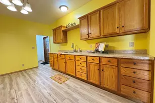 224 W 2nd Pl, Spring Valley, IL 61362 - Photo 15